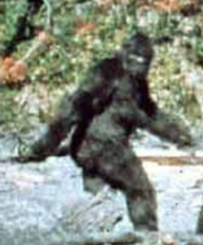 sasquatch